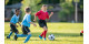 Sports Blogs