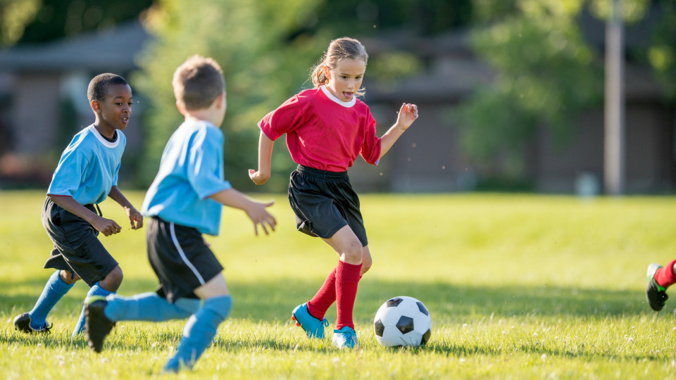 Sports Blogs