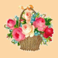 test 17 (0)
