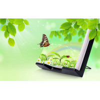 test 24 (0)