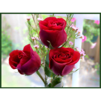 test 18 (1)