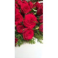 test 20 (0)