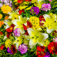 test 19 (0)