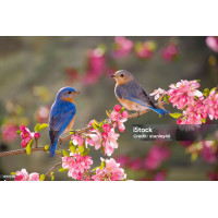 test 15 (1)