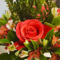 test 7 (0)